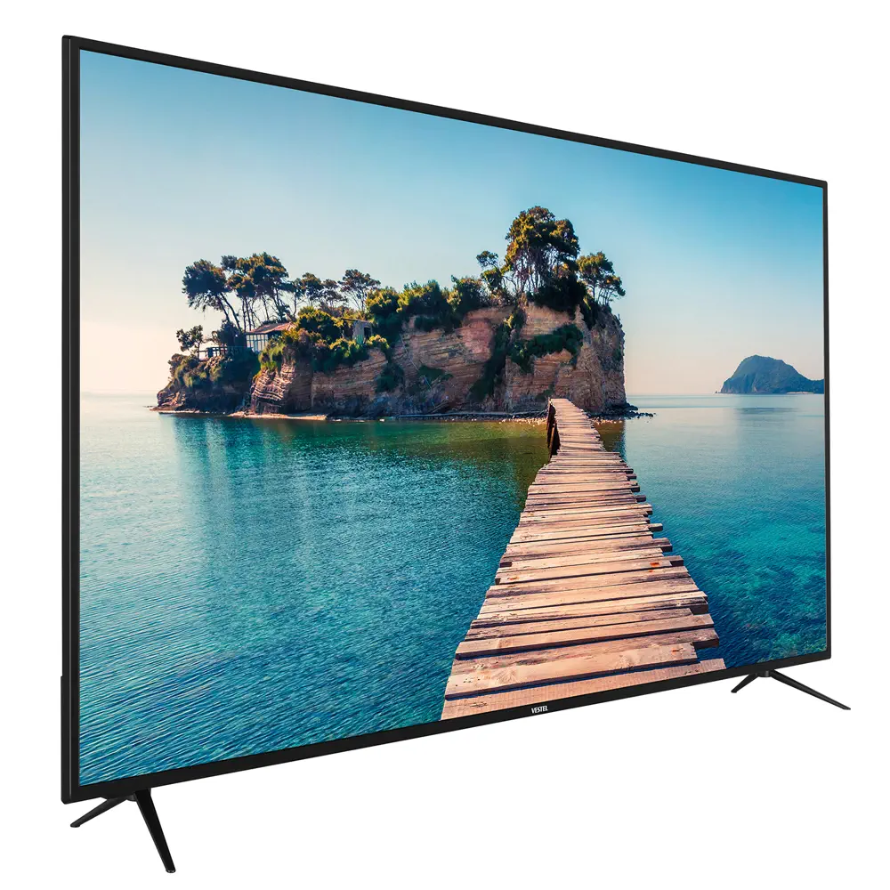 TELEVISION 65 VESTEL
